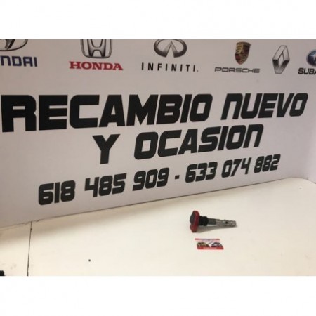 Bonina encendido audi a4